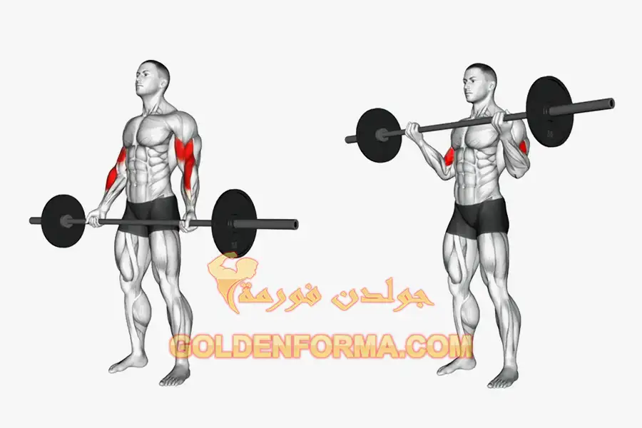 تمرين تبادل بالبار - Barbell Curl