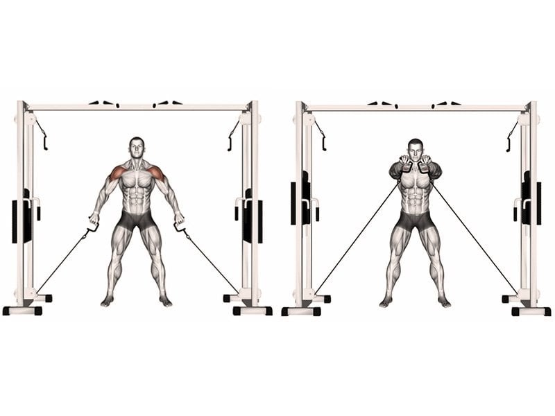 تمرين الكتف الأمامي باستخدام الكابل Double Cable Front Raise تمارين الكتف الامامي