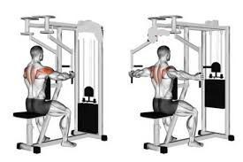 جهاز الكتف الخلفى Rear Delt Machine  جدول تمارين الكتف