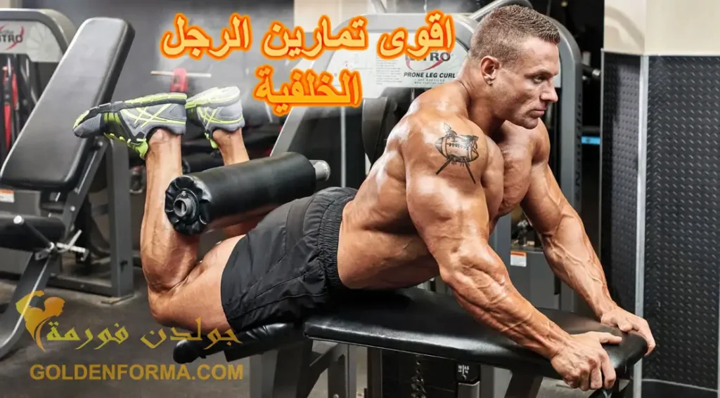 أقوى 7 تمارين رجل خلفية لضخامة غير معقولة !!