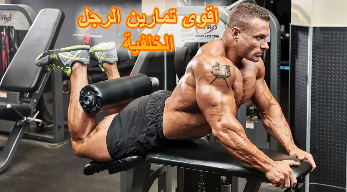 أقوى 7 تمارين رجل خلفية لضخامة غير معقولة !!