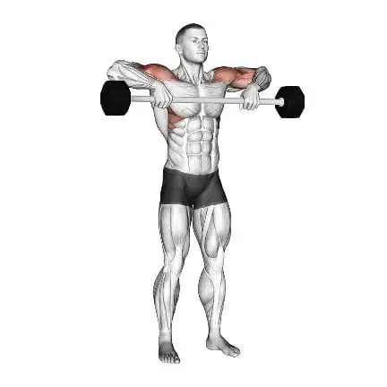 تمرين الكتف الجانبي باستخدام البار Upright Rows