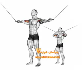 تمرين بايسبس تبادل بالكابل – Overhead Cable Curl