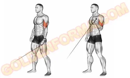 تمرين تبادل بالكابل ذراع واحدة - تمرين الباي المثالي