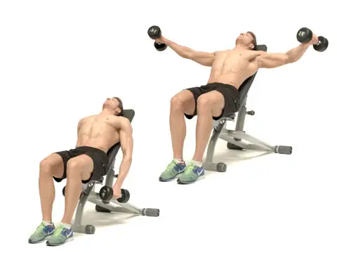 تمرين رفرفة جانبية على البنش المائل Incline Seated Lateral Raise