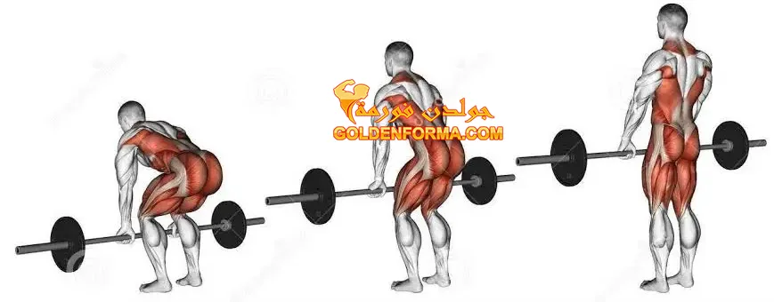 1 . تمرين Deadlift  تمارين ظهر بالبار