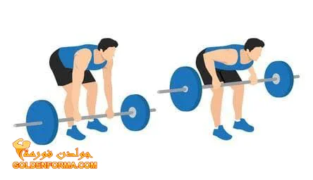 1 . تمرين التجديف بالبار - barbell bent row تمارين الظهر في الجيم