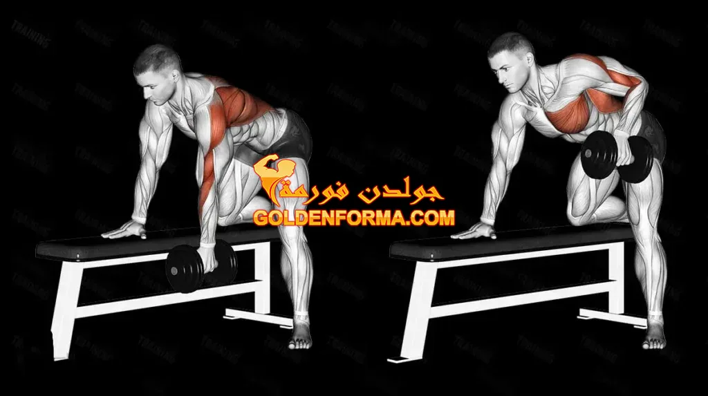 1- تمرين المنشار - dumbbell row - تمرين ظهر وباي