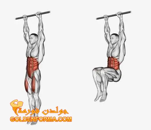 1 - تمرين رفع الركبة - hanging knee raises  