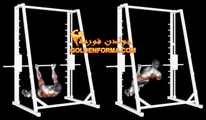 15 . تمرين السحب الخلفي المقلوب بقبضة معكوسة - Reverse grip inverted row تمارين الظهر في الجيم