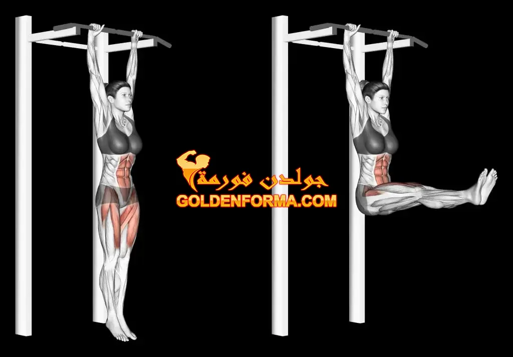 2 - تمرين رفع الساق - hanging straight leg raises  