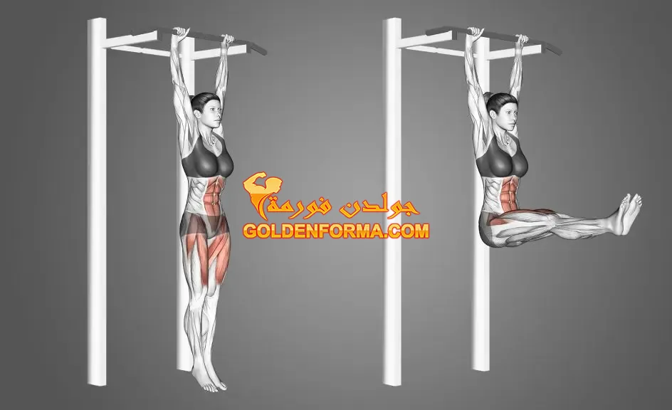 2- تمرين رفع الساق المعلقة hanging leg raises  