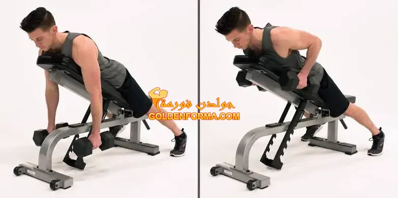 2- تمرين سحب بالدامبل على كرسي البنش العالي chest supported incline row - تمرين ظهر وباي