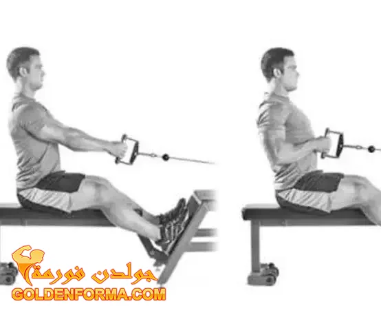 3 .  تمرين السحب الأرضي - seated cable row تمارين الظهر في الجيم