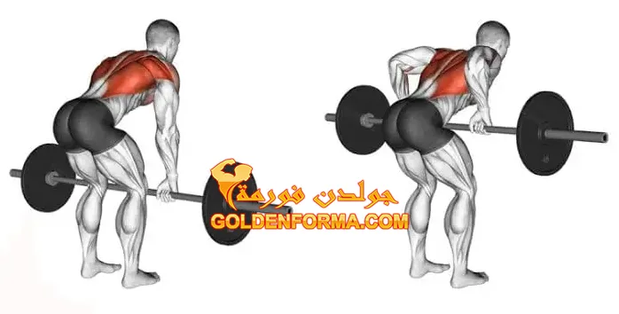 3 . تمرين بار بالقبضة الضيقة - Close-Grip Barbell Rows تمارين ظهر بالبار