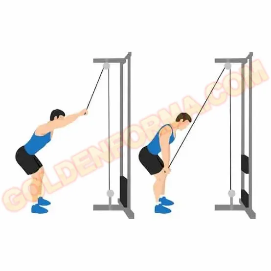 3 .  جهاز سحب الكيبل للأسفل - lat pushdown  اجهزة تمارين الظهر