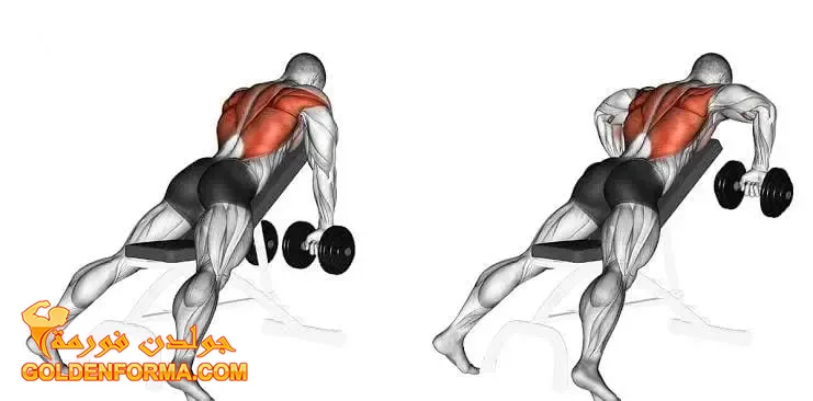 4 . تمرين تجديف بالدمبل على كرسي البنش العلوى - incline row  تمارين الظهر في الجيم