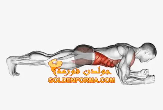 4 - تمرين البلانك - plank 