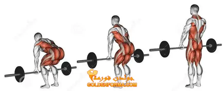 4 - تمرين الرفعة المميتة - Deadlift 