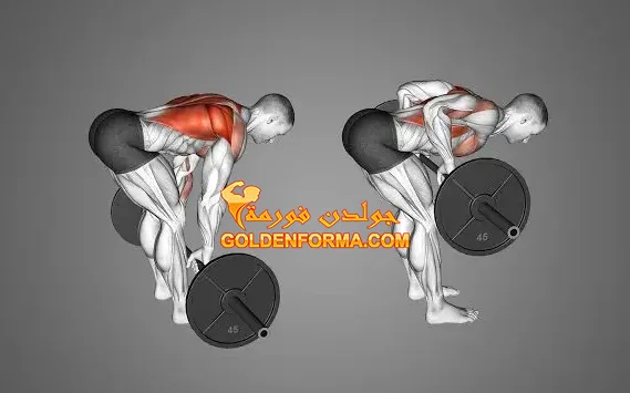 5 . تمرين المنشار- Barbell Rows  تمارين ظهر بالبار