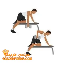 5 .  تمرين سحب الدمبل بيد واحدة - single arm dumbbell row  تمارين الظهر في الجيم