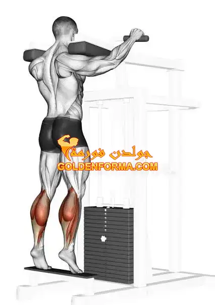 5 - تمرين رفع السمانة أثناء الوقوف - standing calf raises  