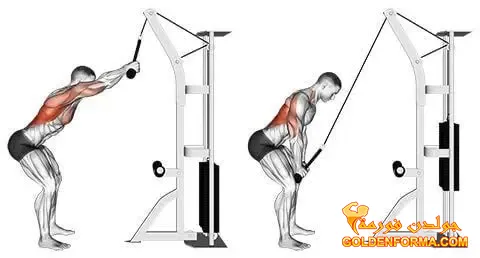 6 . تمرين سحب الكابل للأسفل وذراعك مفرود – Straight arm cable pulldown تمارين الظهر في الجيم