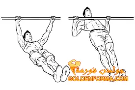 6- تمرين التجديف العكسي inverted row - تمرين ظهر وباي