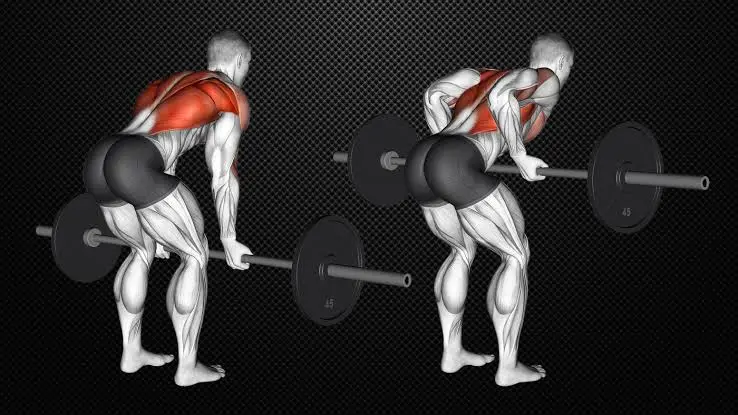 7 . تمرين بار بالقبضة المقلوبة - THE REVERSE GRIP BARBELL ROW تمارين ظهر بالبار