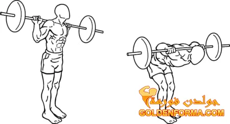 8 .  تمرين Barbell Good Mornings  تمارين ظهر بالبار