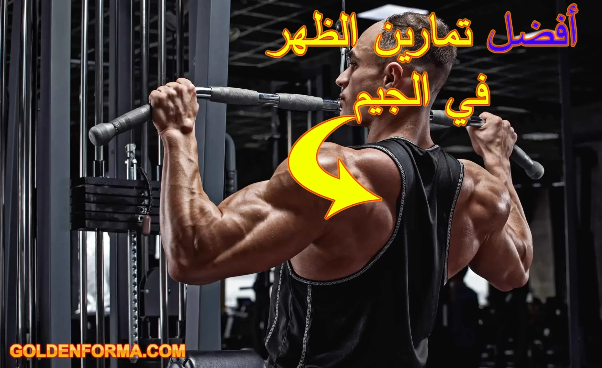 أفضل تمارين الظهر في الجيم 1