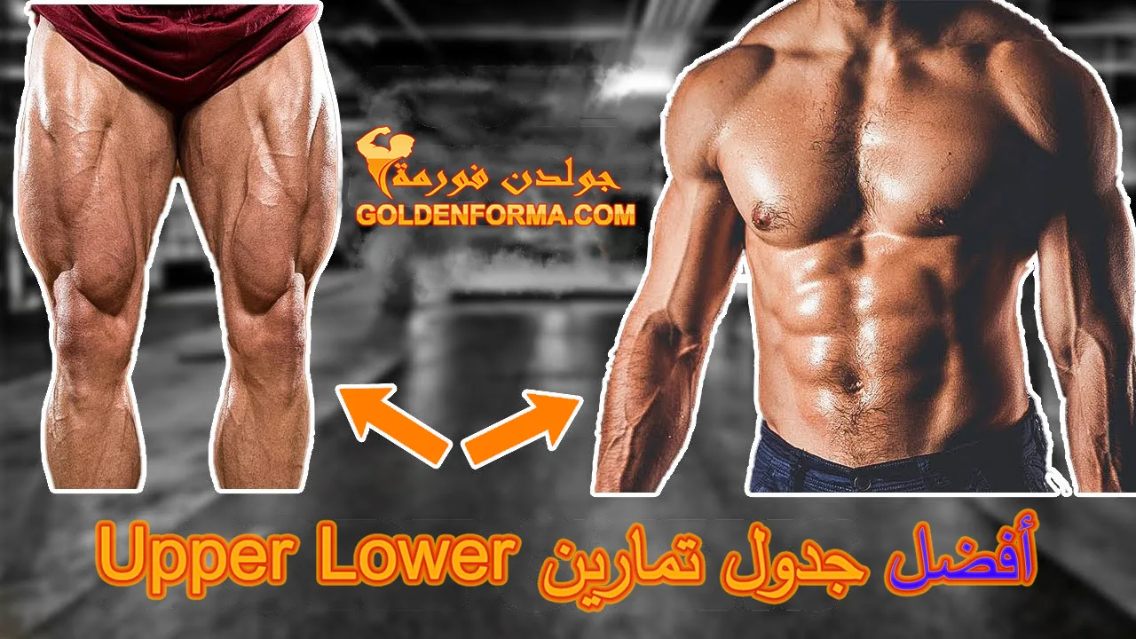 أفضل جدول تمارين Upper Lower 1