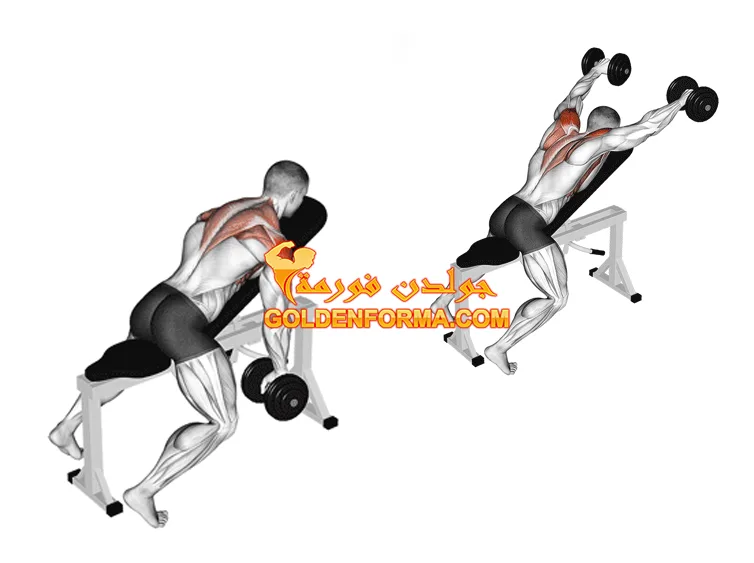 تمرين Dumbbell Incline Y Raise تمارين الكتف بالدمبل