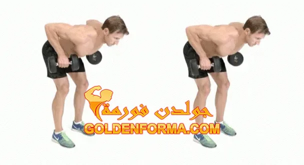 تمرين Wide Dumbbell Row تمارين الكتف بالدمبل