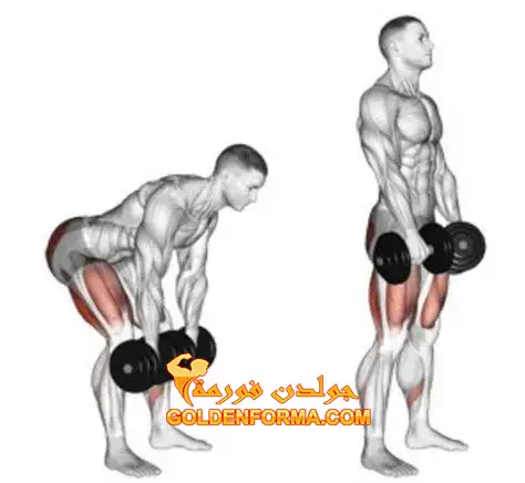 تمرين استريتش خلفي بالدمبلز - Rear stretch dumbbell