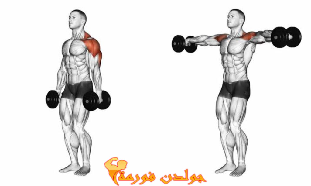 تمرين الرفرفة الجانبي بالدامبل - Dumbbell Lateral Raises نظام برو سبليت 