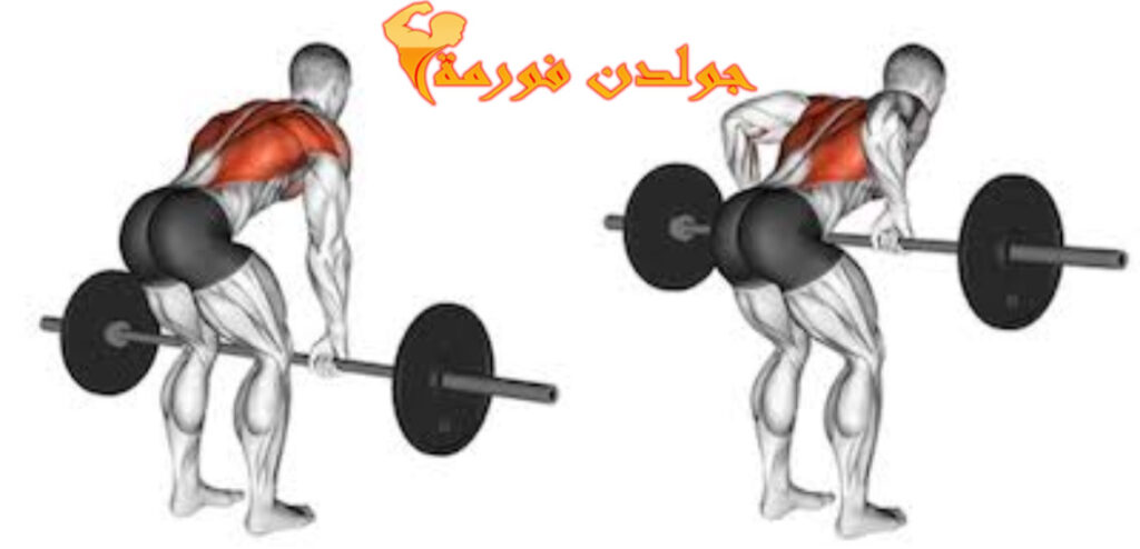 تمرين السحب بالبار قبضة عادية - Bent-Over Rows نظام برو سبليت