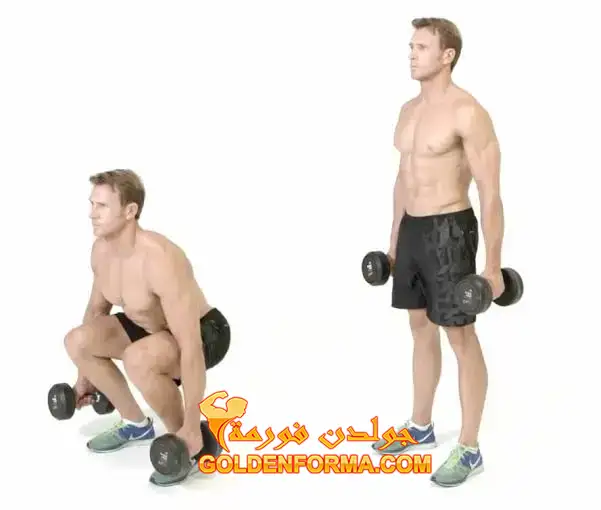 تمرين السكوات بالدمبل - Squats with dumbbell