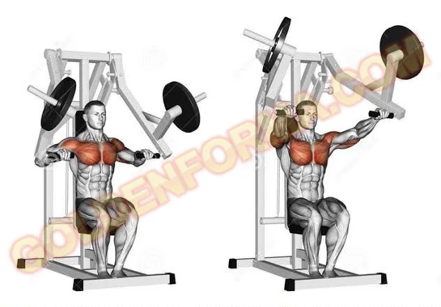 تمرين الصدر العالي على الجهاز - Hammer strength incline Chest press جدول تمارين Upper Lower