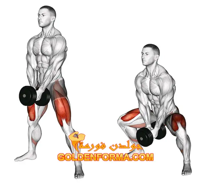 تمرين  القرفصاء سومو بالدمبلز  - Dumbbell sumo squat