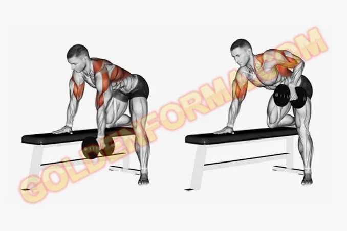 تمرين المنشار للظهر فردي - Single Arm Dumbbell Row  جدول تمارين Upper Lower