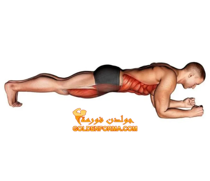 1 . تمرين بلانك - plank  