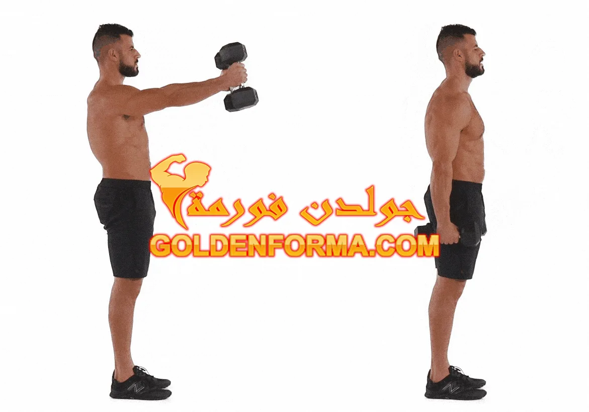 تمرين رفرفة أمامي-  Dumbbell Front Raise تمارين الكتف بالدمبل