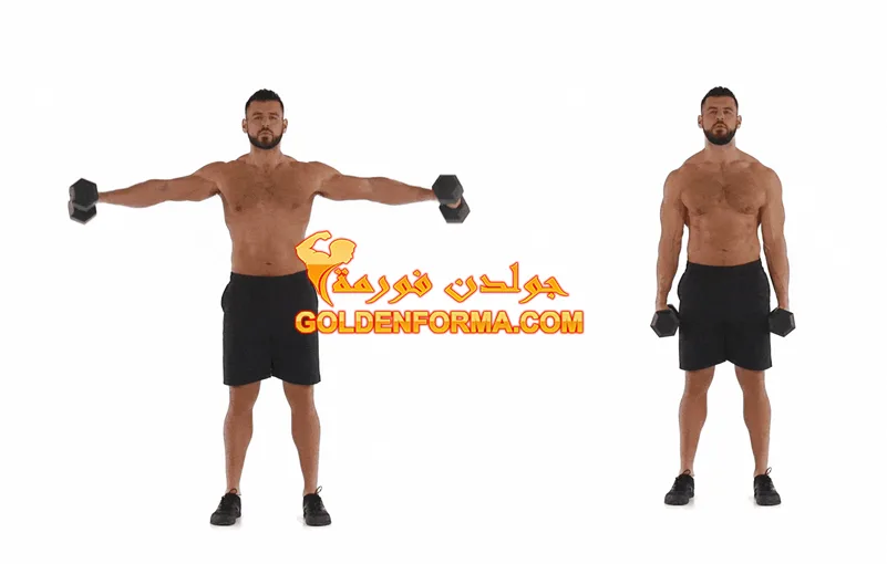 تمرين  رفرفة جانبي _Dumbbell Lateral Raise تمارين الكتف بالدمبل