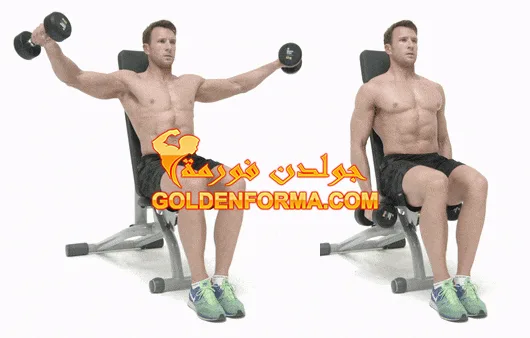 تمرين رفرفة جانبي باستخدام الدكة _Incline Seated Lateral Raise تمارين الكتف بالدمبل