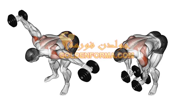 تمرين رفرفة خلفية بالدمبل_ Bent-Over Dumbbell Lateral Raise تمارين الكتف بالدمبل