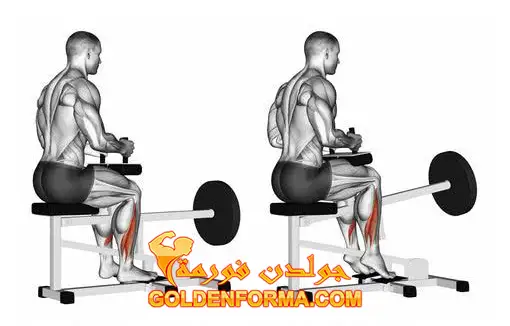 3-  تمرين رفع الساق إلى الخارج مع الجلوس - Sitting calf raises outward 