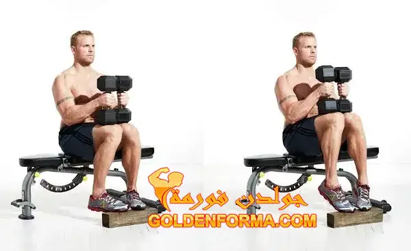 2 - تمرين رفع الساق إلى الداخل من الجلوس - sitting calf raises inward 