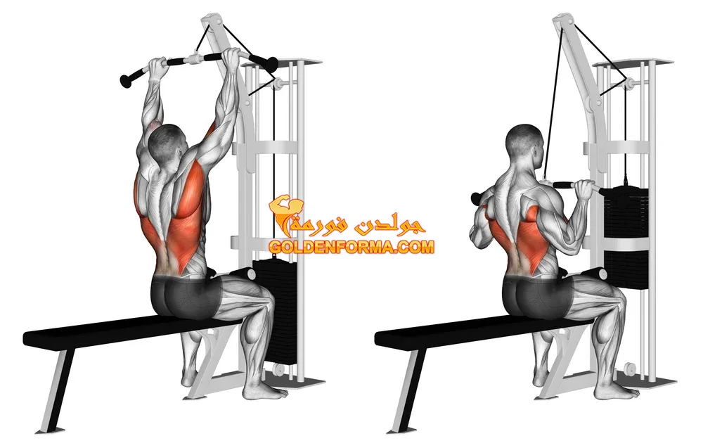 تمرين سحب أمامي - lat pulldown تمرين ظهر وباي - 