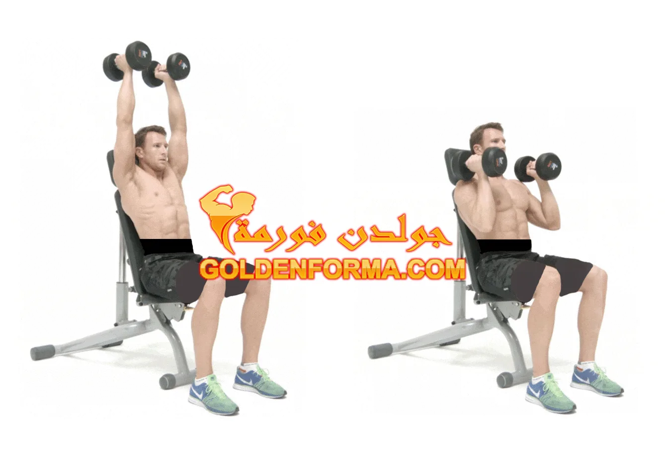 تمرين شولدر بريس أمامي- Dumbbell shoulder press تمارين الكتف بالدمبل